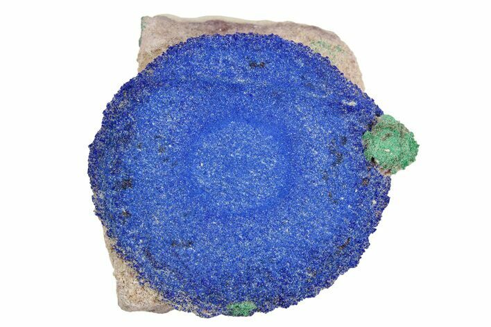 Vibrant Blue Azurite Sun on Siltstone - Australia #254059